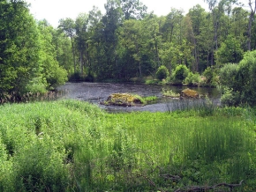 Inviting water Inviting water