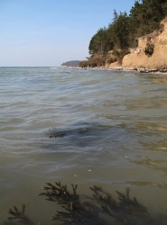 Mud no problem Mud no problem