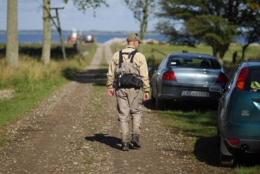 Inspector Davenport Inspector Davenport