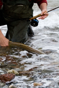 get back there get back there