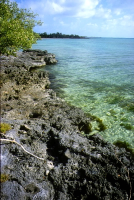 Rocky coast Rocky coast