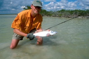 Close quarter bonefish Close quarter bonefish
