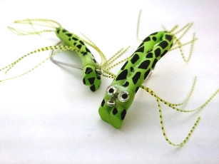 Spotty Gutless Frogs Spotty Gutless Frogs