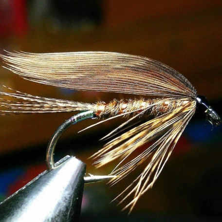 Satoshi Tanaka's March Brown Satoshi Tanaka's March Brown