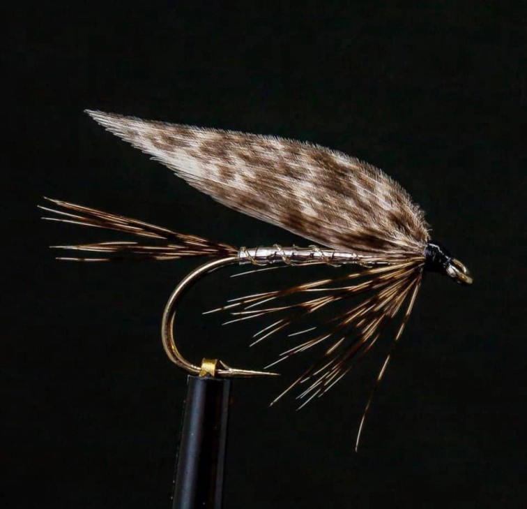 Silver bodied March Brown Silver bodied March Brown