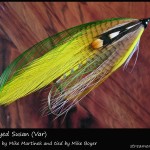 #66 Black Eyed Susan (Var) - Mike Boyer