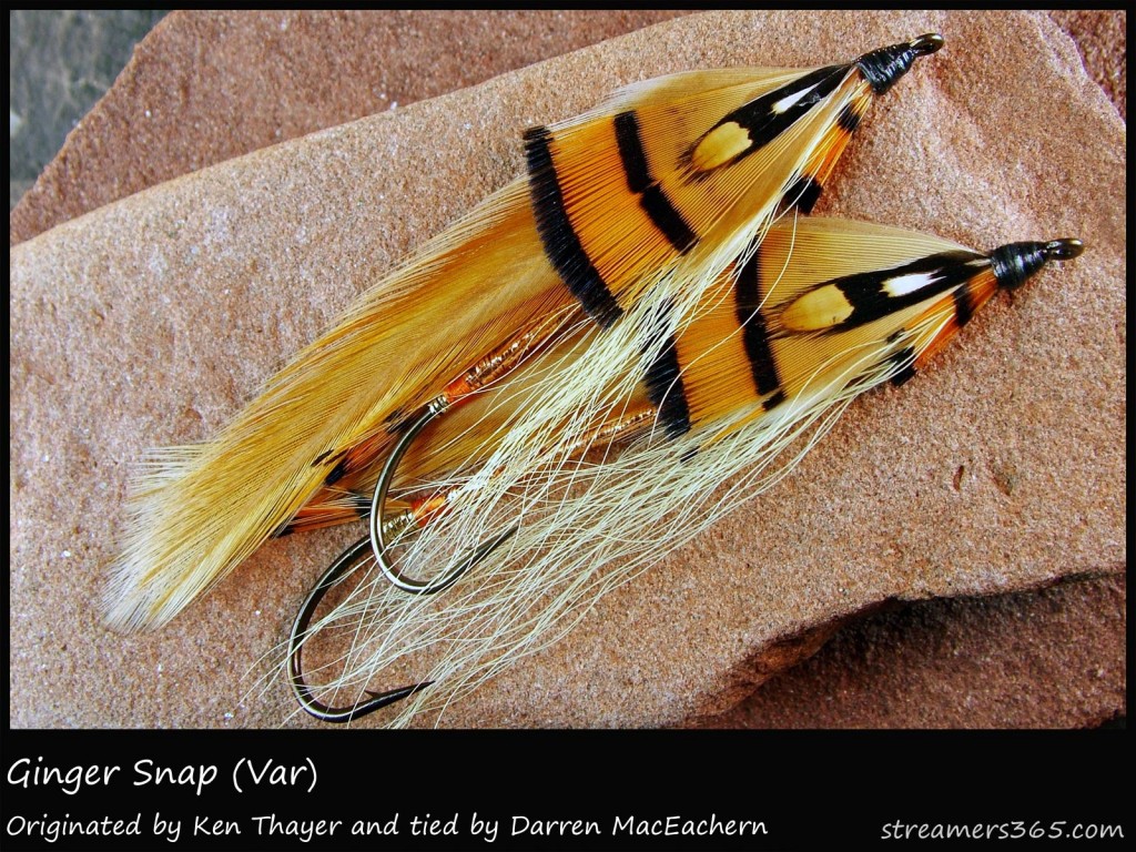 #95 Ginger Snap - Darren MacEachern #95 Ginger Snap - Darren MacEachern