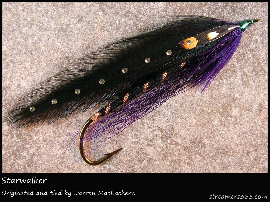 #239 Starwalker - Darren MacEachern #239 Starwalker - Darren MacEachern