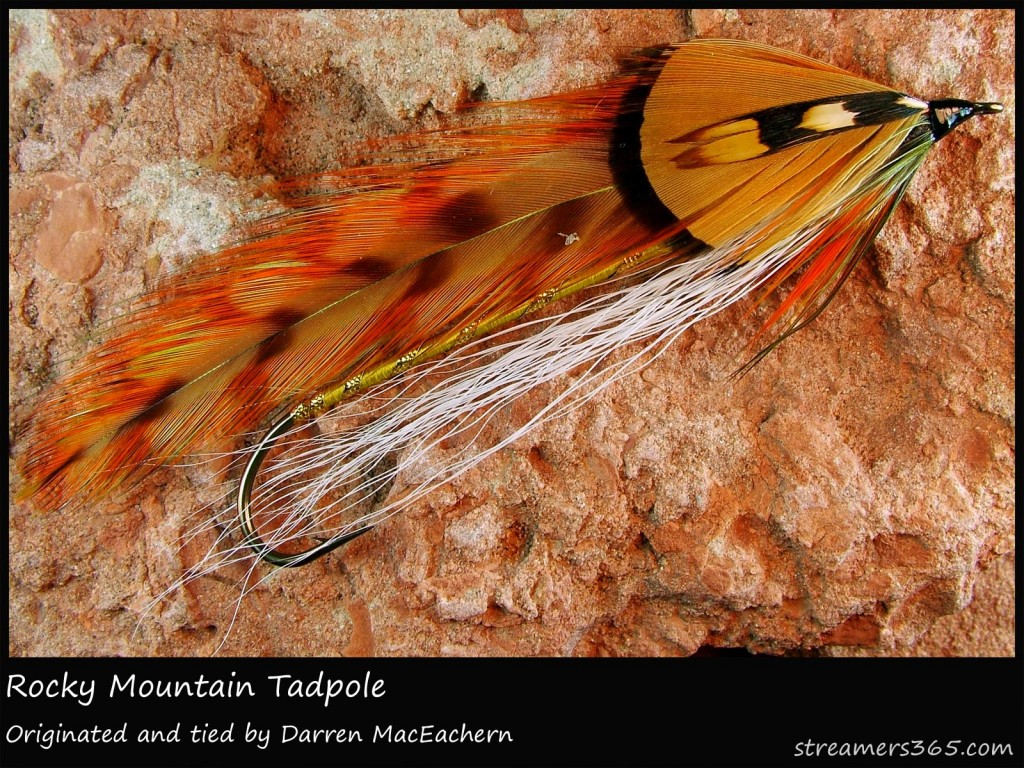 #298 Rocky Mountain Tadpole - Darren MacEachern #298 Rocky Mountain Tadpole - Darren MacEachern