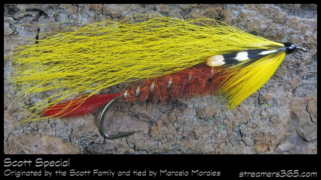 #6-2013 Scott Special by Marcelo Morales