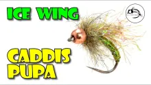 Video thumb for Ice Wing Caddis Pupa