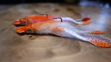 Video thumb for Articulated Squid