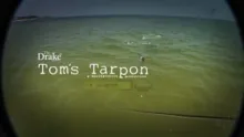 Video thumb for Tom's Tarpon