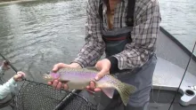 Video thumb for Shasta Trout Fly Fishing