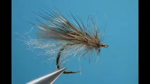 Video thumb for Backstop Caddis