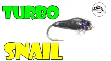 Video thumb for Turbo Snail by Fly Fish Food