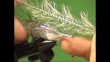 Video thumb for Murdich Minnow