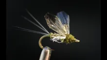 Video thumb for Real Mayfly