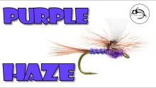Video thumb for Purple Haze