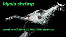 Video thumb for Mysis Shrimp