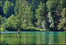 User submitted picture: She and wonderful corner ...