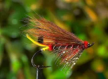 User submitted picture: Black Doctor

By Ken Bo...