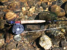 User submitted picture: My Favorite Small Stream ...