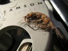 User submitted picture: Sunbathing OE Deep Diving...