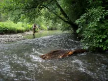 User submitted picture: the noble art of fine cas...