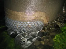 User submitted picture: Fishing at dawn, I sudden...