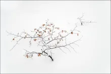 User submitted picture: ***