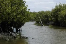 User submitted picture: Gopher Creek!