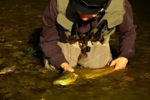 User submitted picture: mataura trout