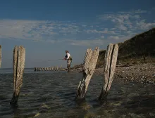 User submitted picture: Spotting Ripley