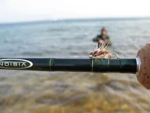 User submitted picture: Blurred Vision - small fl...