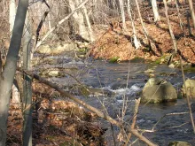 User submitted picture: A Wild Trout Stream in Ja...