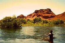 User submitted picture: Took this shot at the low...