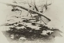 User submitted picture: winter spell (3)