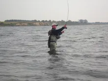 User submitted picture: Steve...!!! Hard at work....