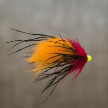 User submitted picture: Salmon Tube