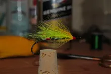 User submitted picture: First fly of 2016