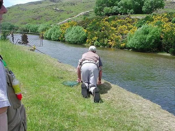 User submitted picture: It's only 8 feet to the ...