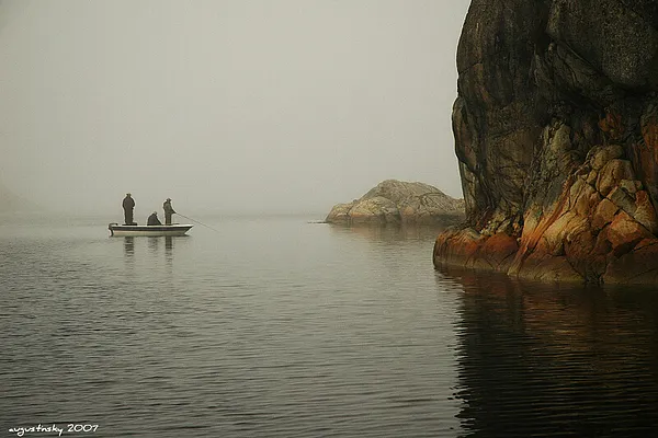 User submitted picture: Amper, Arpi & Palmer from...