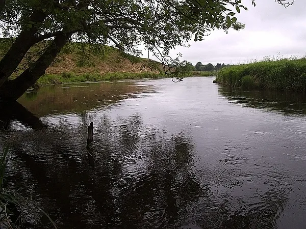 User submitted picture: No yellow ribbon around t...