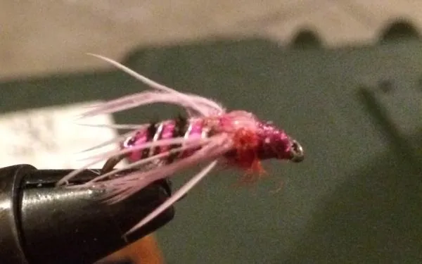 User submitted picture: I was just messing around...