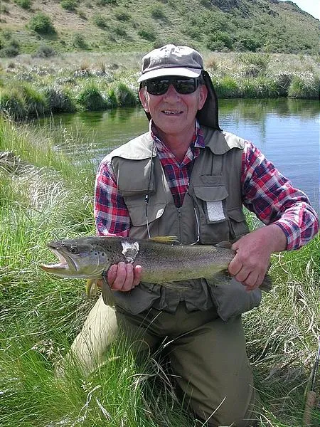 User submitted picture: The large eel bite did no...