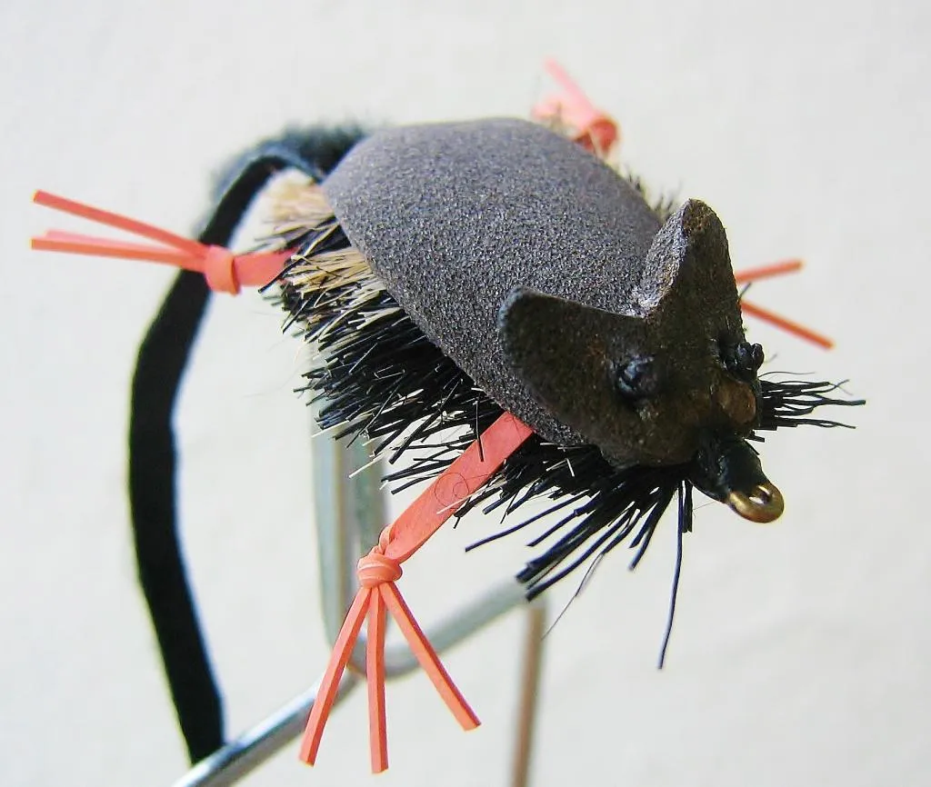 User submitted picture: Mouse!!!!