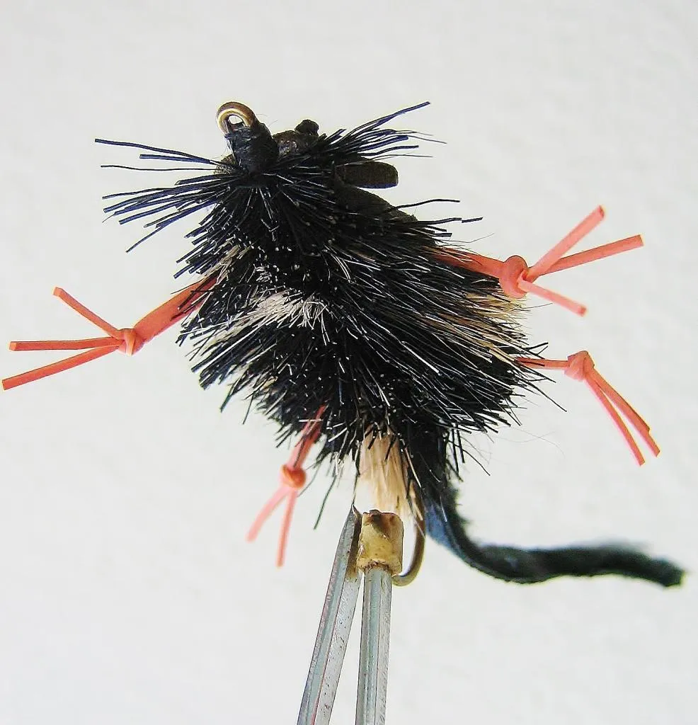 User submitted picture: Mouse!!!!